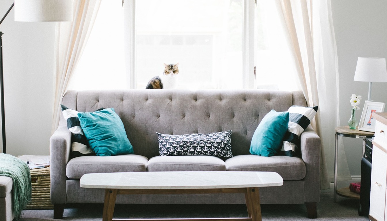 Elegant clean living room prepared for new occupants
